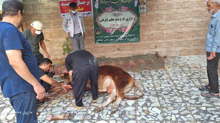 گزارش تصویری برگزاری عید قربان در ادارات استان بوشهر