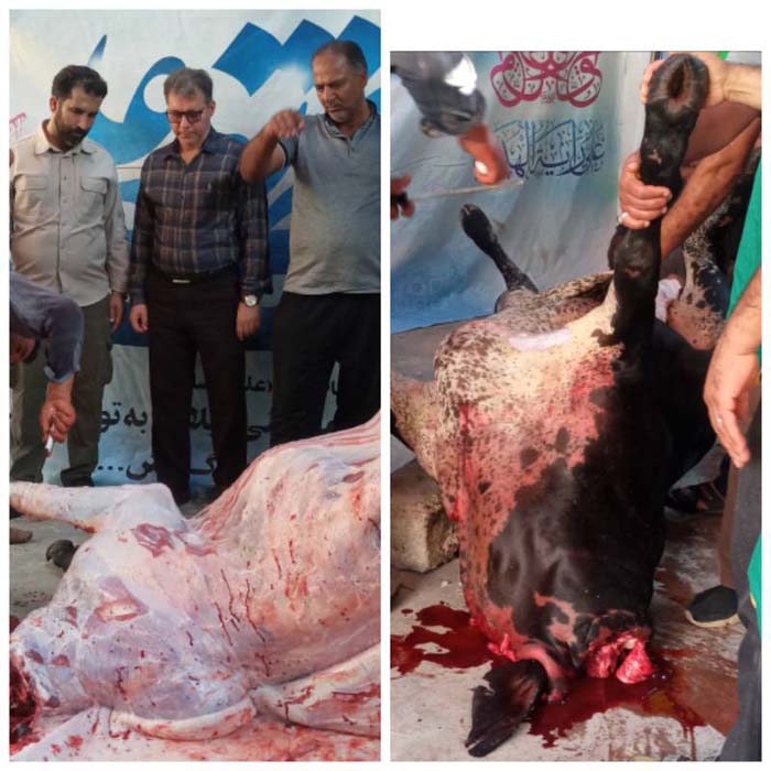 گزارش تصویری برگزاری عید قربان در ادارات استان بوشهر