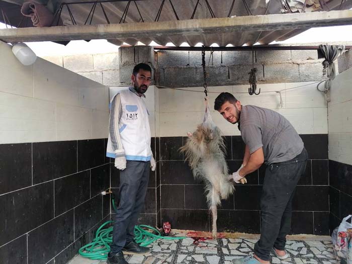 گزارش تصویری برگزاری عید قربان در ادارات استان بوشهر