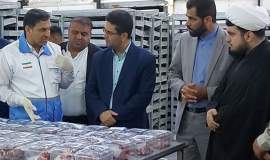 ذبح ۱۰۰۰ راس دام برای نیازمندان بوشهری در عید قربان